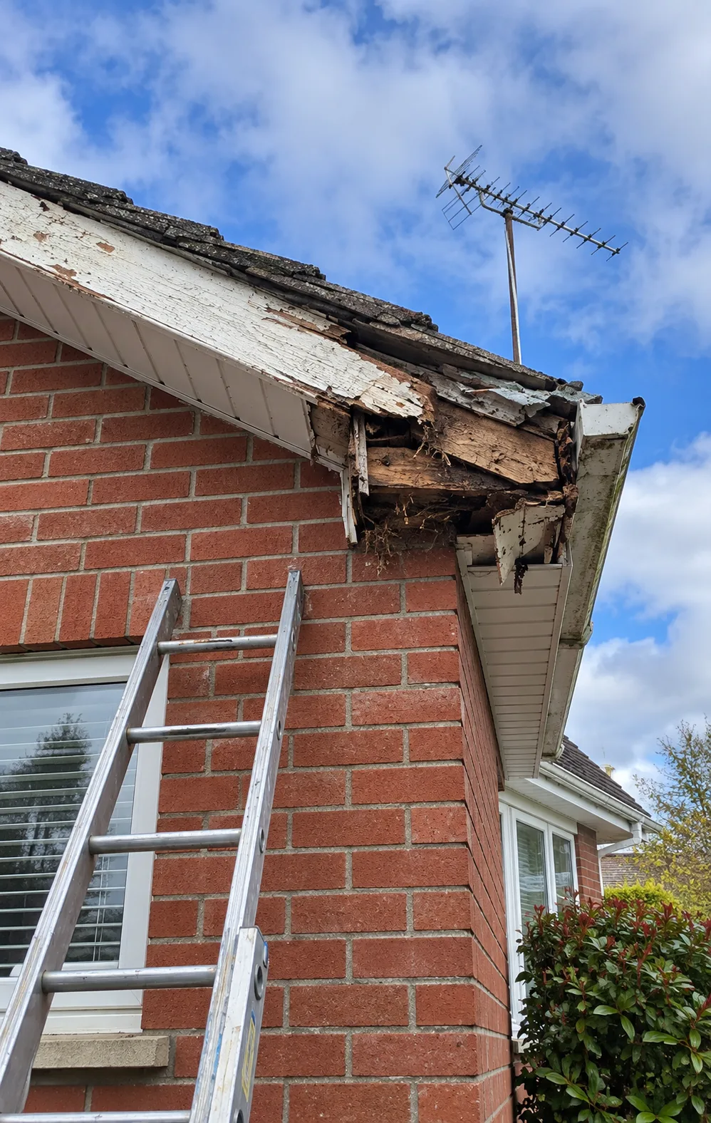 Close-up of a rotted fascia board on a brick bungalow before repair — typical Cavan property